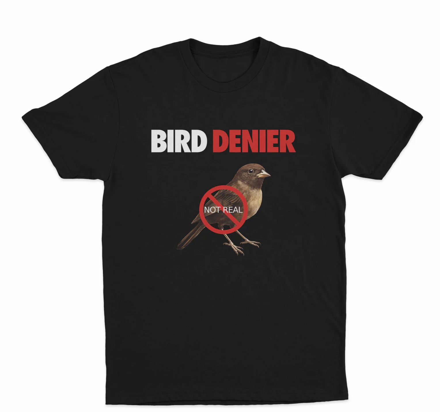 Bird Denier (Not Real) T-Shirt