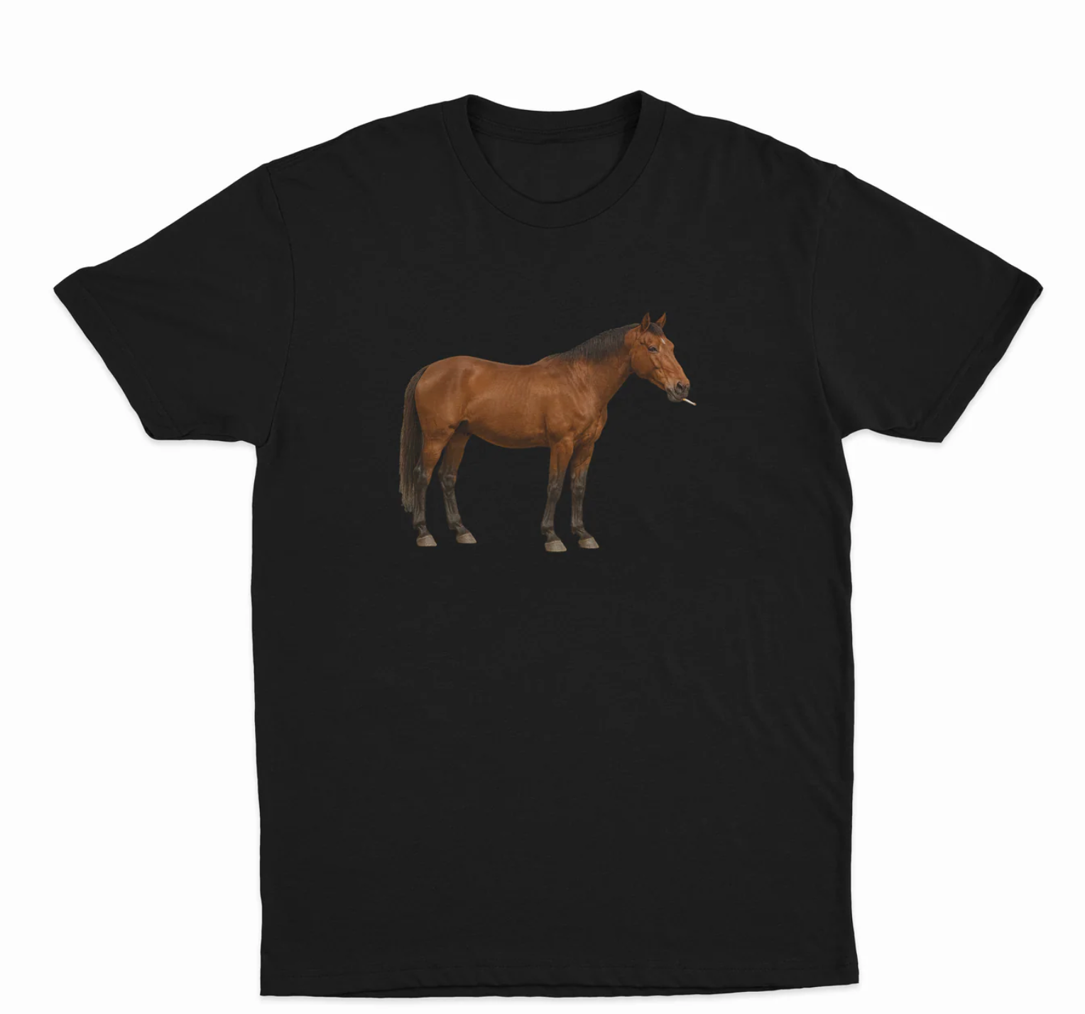 Horse Smoking Cigarette T-Shirt