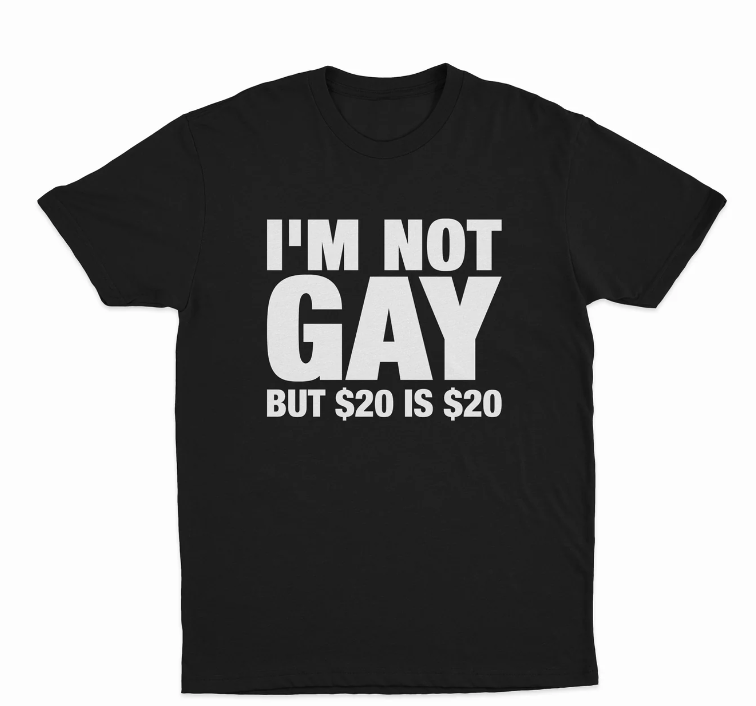 I'm Not Gay But $20 is $20 T-Shirt