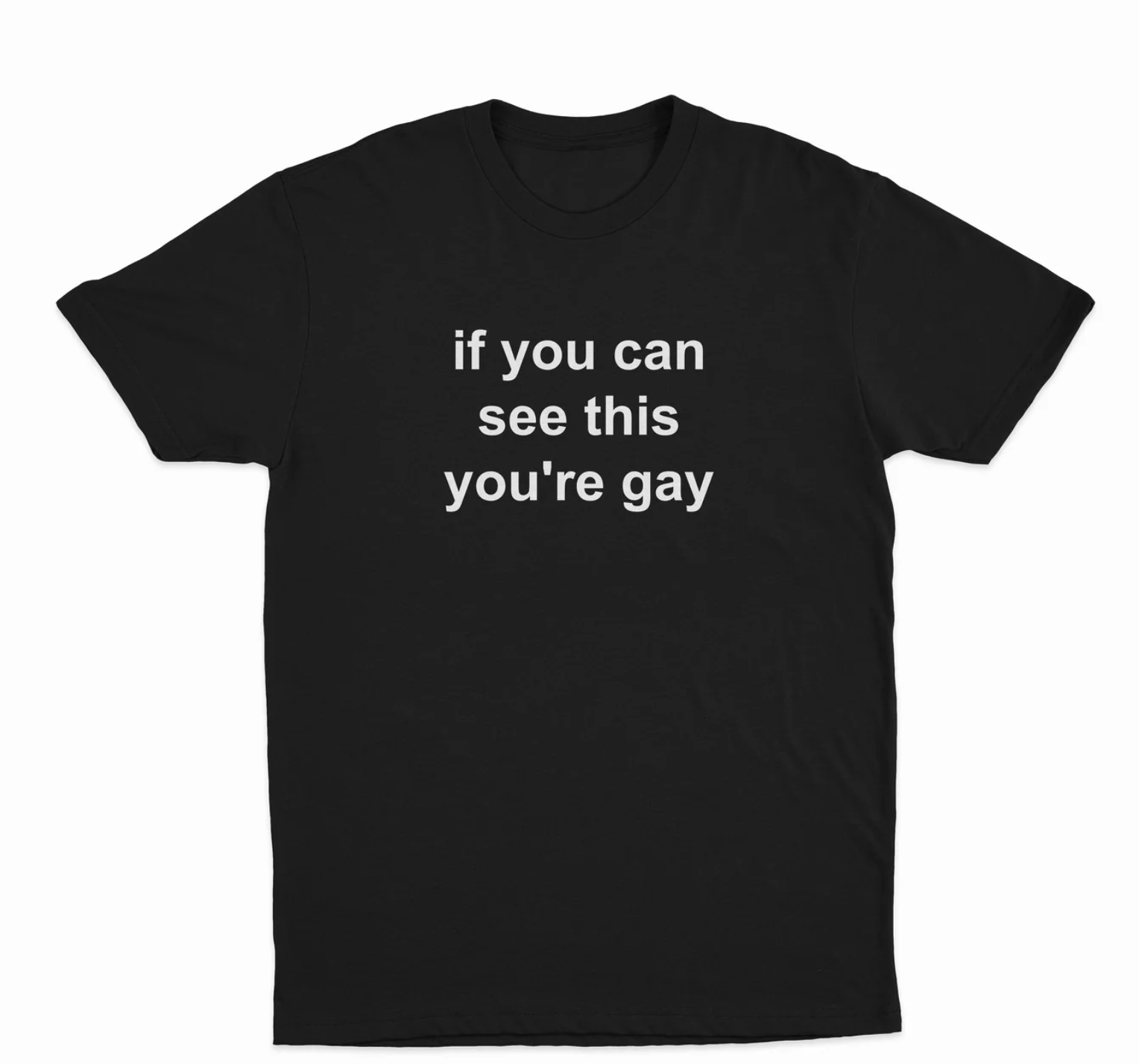 If You Can See This You're Gay T-Shirt