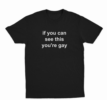 If You Can See This You're Gay T-Shirt