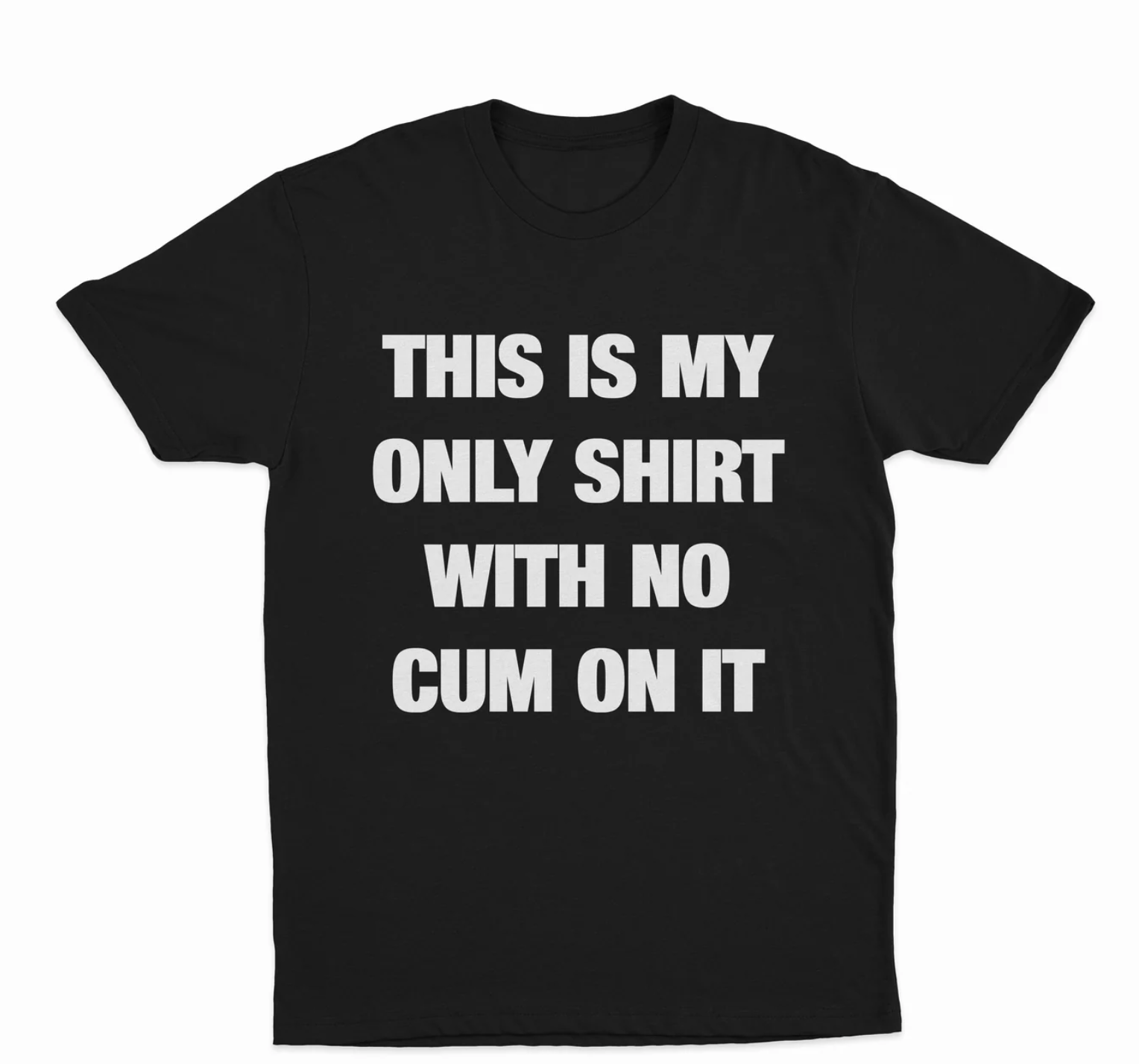 This Is My Only Shirt With No Cum On It T-Shirt