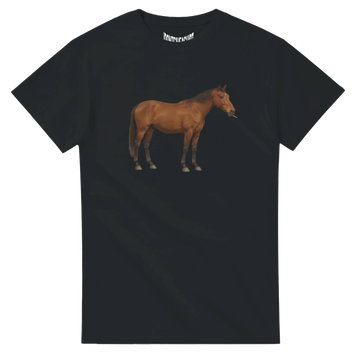 fbd51396-7e2c-4bbd-a27b-ce9e1bba7e2a